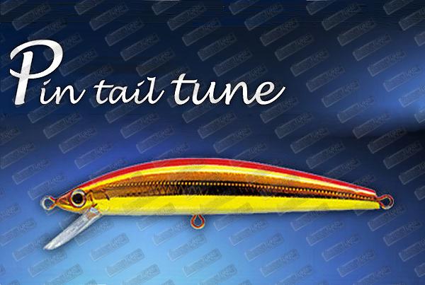 JACKSON Pin Tail Tune 40g WTH