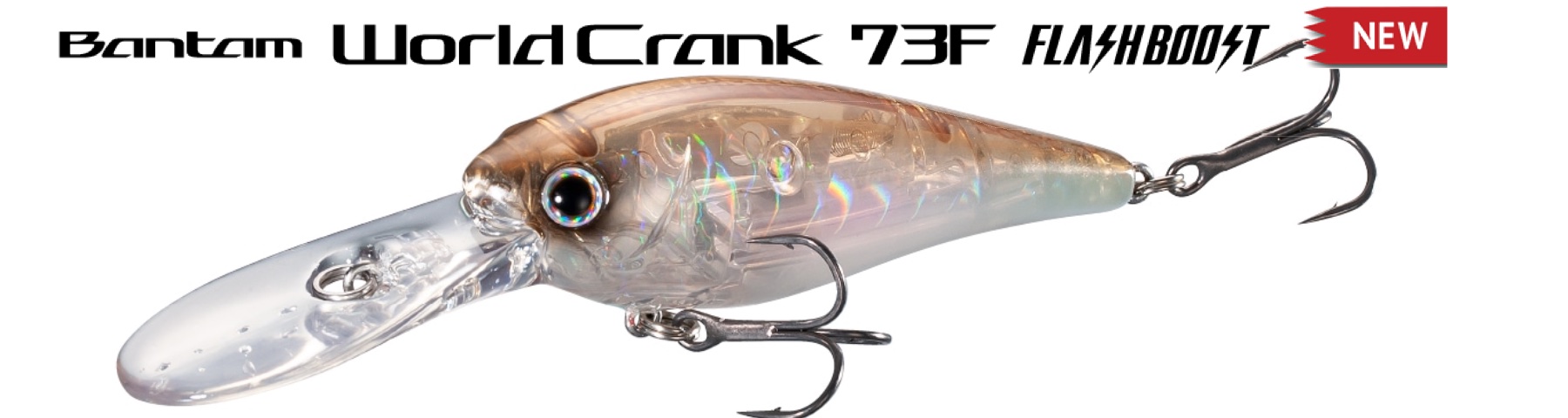 Fishing-Lure-Evolution, your web store that specializes in baits