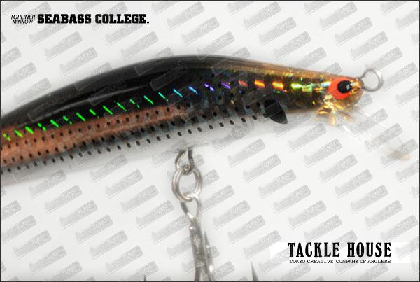 TACKLE HOUSE Seabass College 105 SF