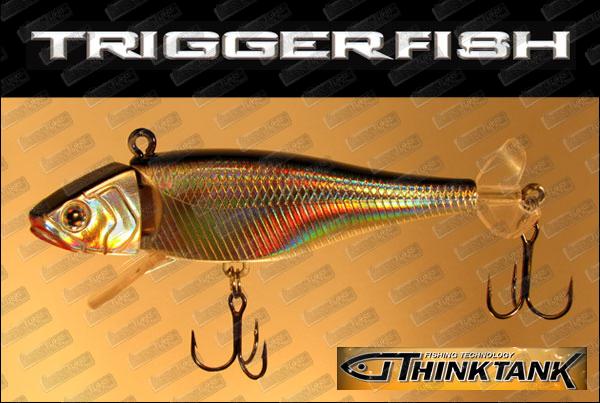 THINKTANK Triggerfish
