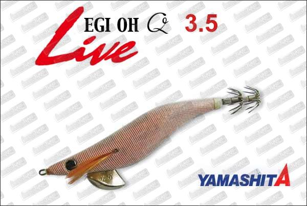 YAMASHITA EGI-Oh Q Live 3.5