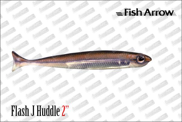 FISH ARROW Flash J Huddle 2