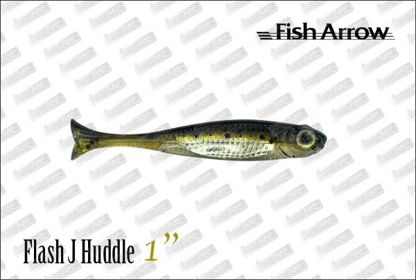 FISH ARROW Flash J Huddle 1