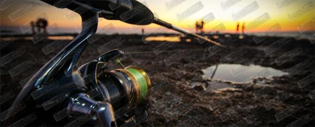 SHIMANO Nasci FB