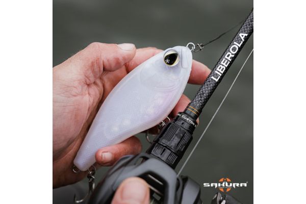 SAKURA Baffeur Jerk SS