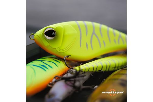 SAKURA Baffeur Jerk SS