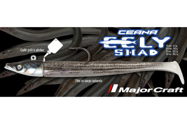 MAJOR CRAFT Eely Shad