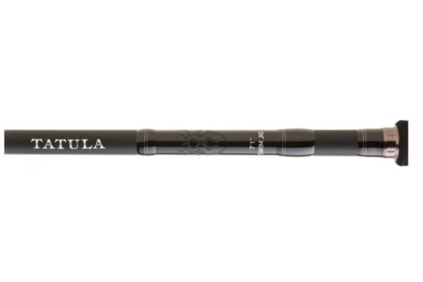 DAÏWA Tatula Spinning