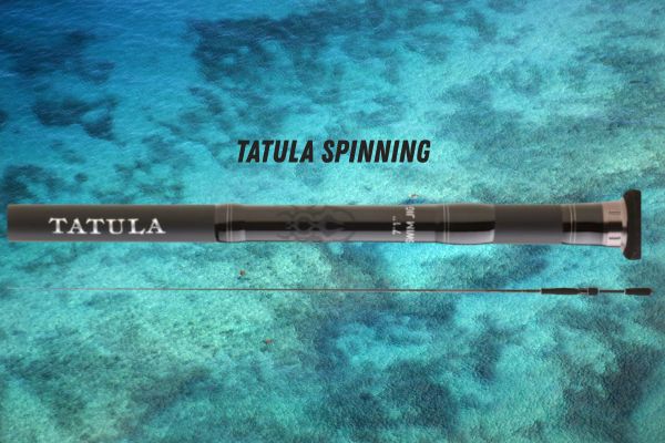 DAÏWA Tatula Spinning