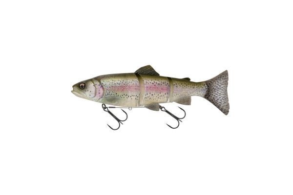 SAVAGE GEAR 3D Line Thru Trout