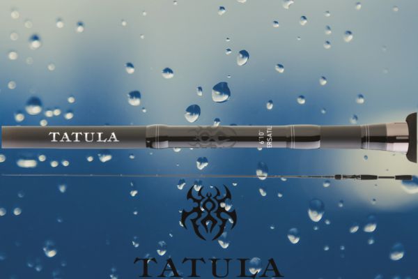 DAÏWA Tatula Casting