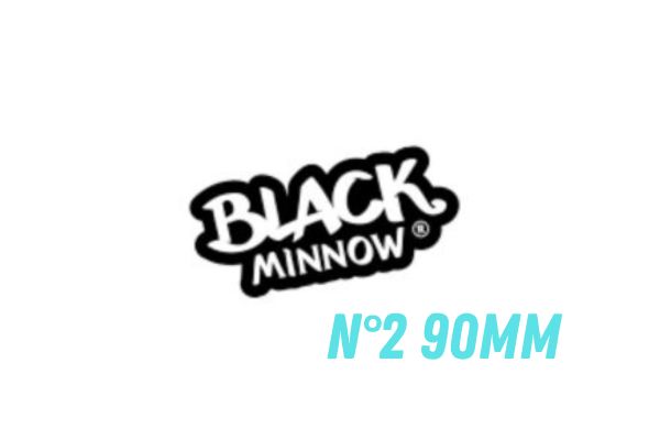 FIIISH Tête Black Minnow N°2 90mm