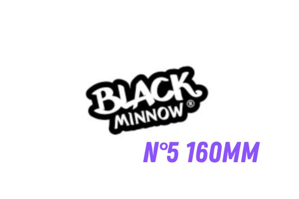 FIIISH Tête Black Minnow N°5 160mm