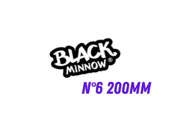 FIIISH Tête Black Minnow N°6 200mm