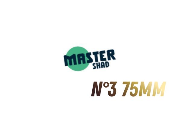 FIIISH Master Shad Cabeza Plomada N°3 75mm