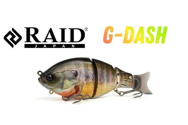 Raid japan g-dash