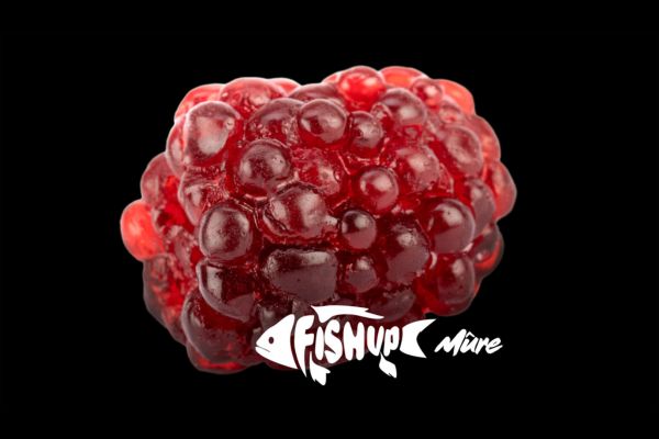 FISHUP Mûre