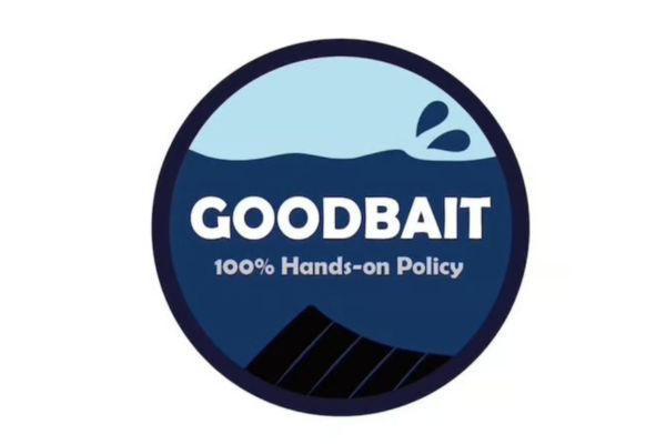 Minnow GOODBAIT