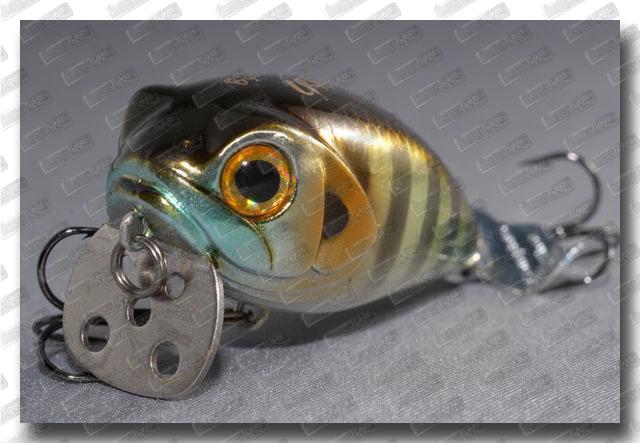 Bassday Bubble Crank 254