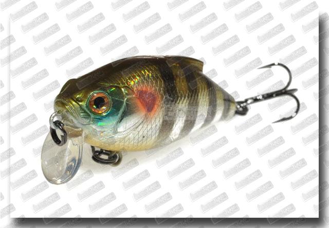 BASSDAY Mogul 47 SSR #CH-45