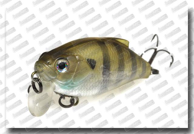  BASSDAY Mogul 47 SSR #CH-46