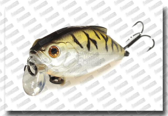 BASSDAY Mogul 47 SSR #P-164