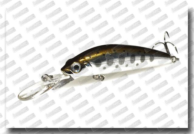 Bassday Sugar Deep 50 G02