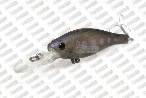 BASSDAY Kangoku Shad 45SP #C-31