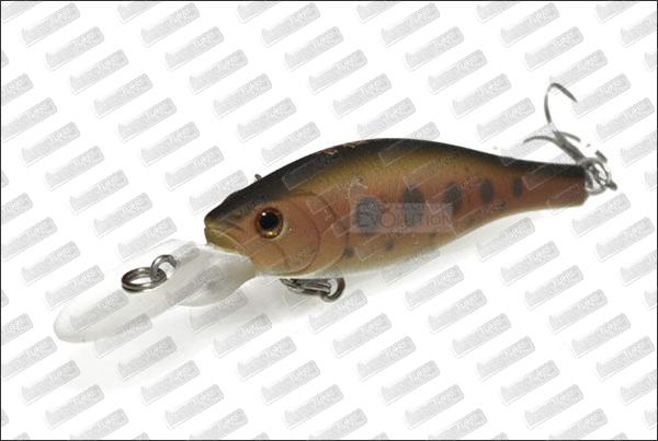 BASSDAY Kangoku Shad 45SP #F-02