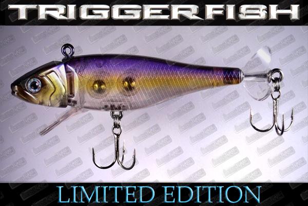  THINKTANK Triggerfish #Ultraviolet