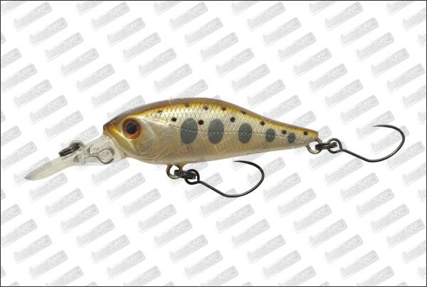 BASSDAY Kangoku Shad 40 #P-102