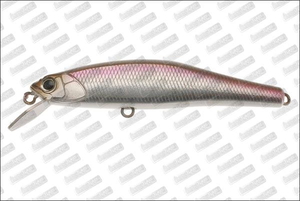  DUO Larus Minnow 80/24 #S116-RS