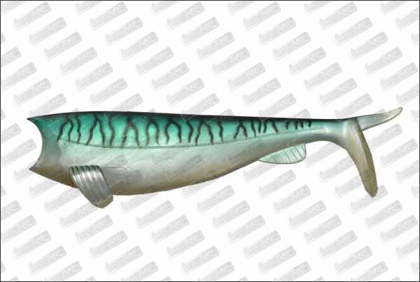 HART Absolute Soft Shad 120mm #55