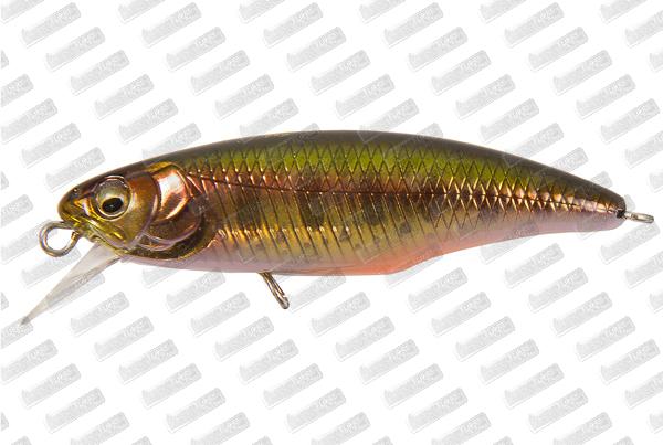 MEGABASS Great Hunting World Spec 48S #Gold Yamame