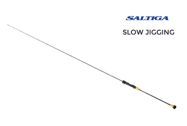 DAÏWA Saltiga Slow Jigging SGSL61B3