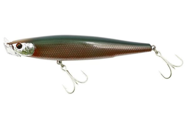 TREFLE CREATION Divola 110 (F) #SGL Sanglant