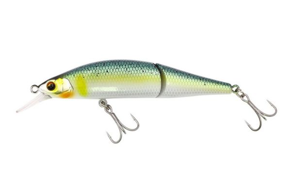 TREFLE CREATION Rafalea JT (S) 79 #TAY Trefle Ayu