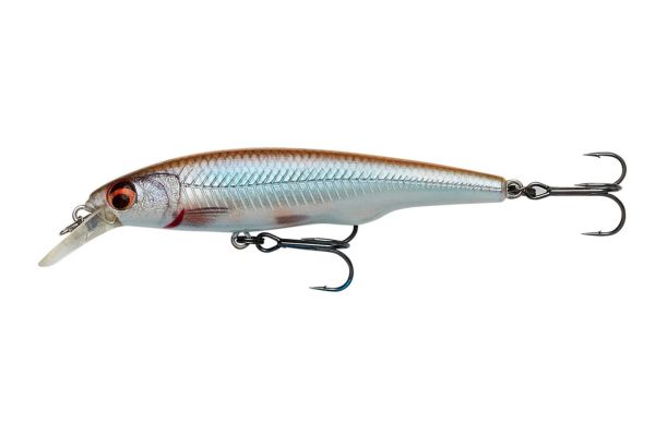 SAVAGE GEAR Gravity Twitch SR 6,7cm #Roach