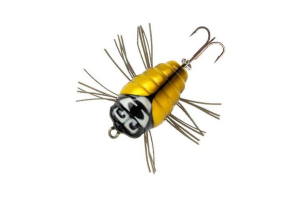 SAKURA Notobug F 22 #09