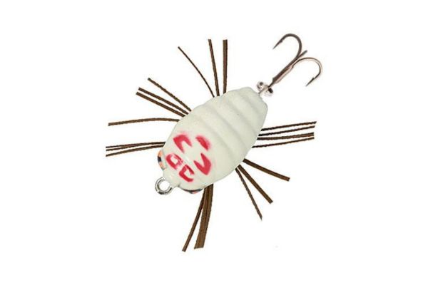 SAKURA Notobug F 22 #GB