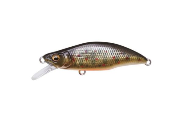 MEGABASS Great Hunting 51 Humpback #Takumi Iwana