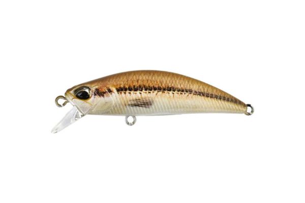 DUO Spearhead Ryuki 50S #ACCZ069 Vairon