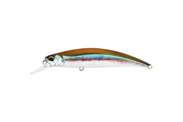 DUO Spearhead Ryuki 80S #ADA4013 Wakasagi