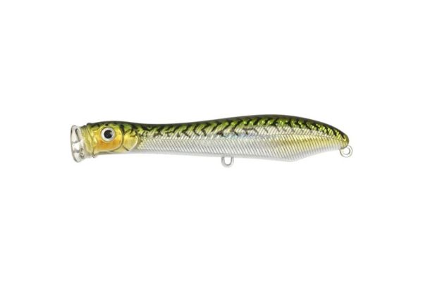 XORÜS Popchinko 140 #Mackerel