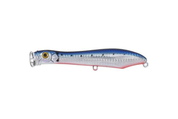 XORÜS Popchinko 140 #Sardine RB
