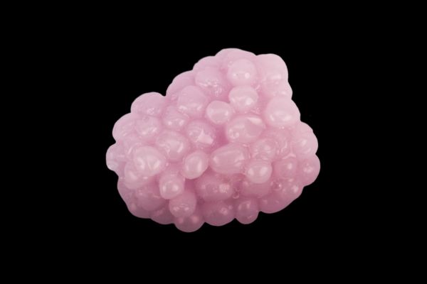 FISHUP Mûre #503 Ghost Berry