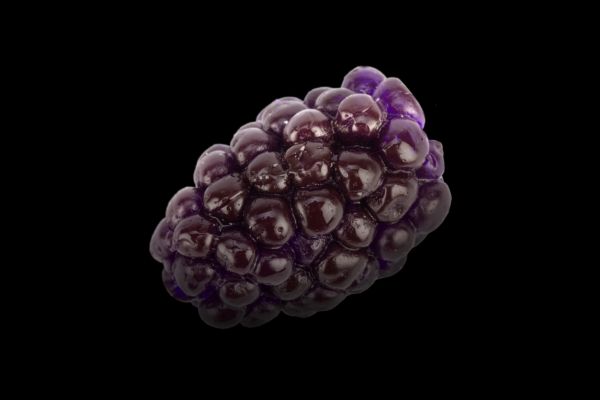 FISHUP Mûre #506 Blackberry