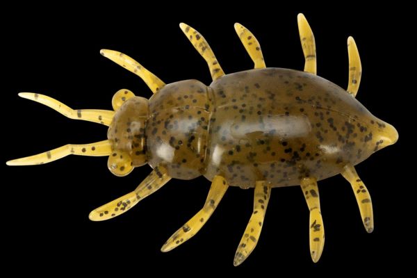 FISHUP Maybug 1