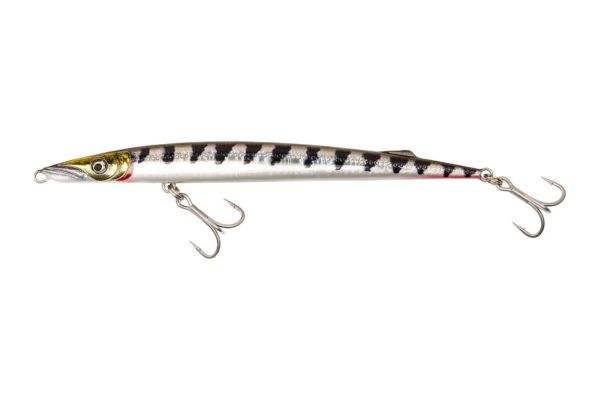 WESTIN Cudakid 180EFS #Barracuda