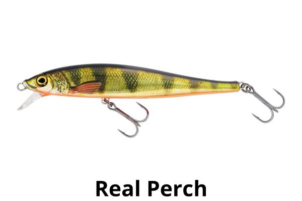 WESTIN Jerkbite SR 170SP #Real Perch